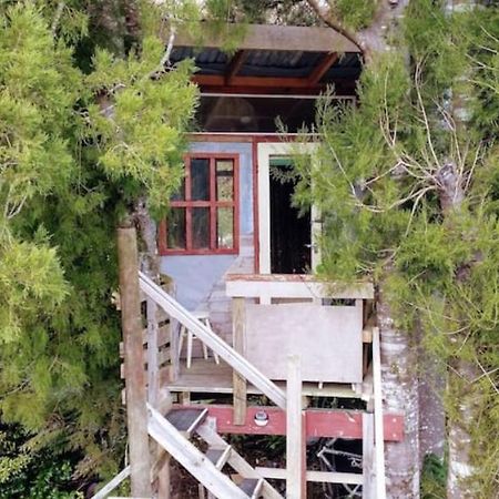 Отель The Treehut At The Rabbithole, Upper Hutt Akatarawa Экстерьер фото